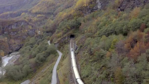 Flamme Train Myrdal Traversant Beaux Paysages — Video