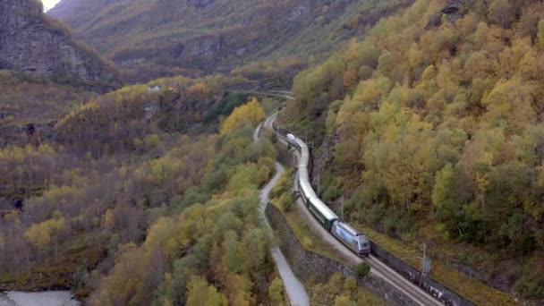 Flamme Train Myrdal Traversant Beaux Paysages — Video