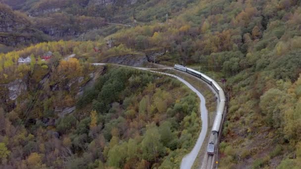 Φλόγα Για Myrdal Τρένο Που Διέρχεται Από Όμορφα Τοπία — Αρχείο Βίντεο