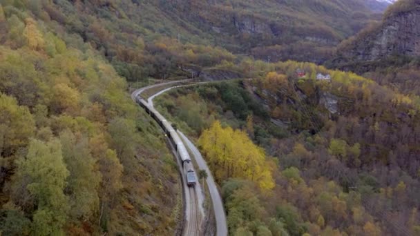 Treno Flam Myrdal Passa Attraverso Bellissimi Paesaggi — Video Stock