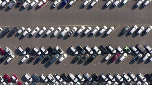 待运车辆港口及全球分销的鸟瞰图 — 图库视频影像