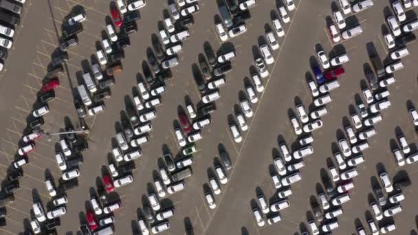 Bird Eye View Vehicle Port Lot Aguardando Envio Distribuição Global — Vídeo de Stock