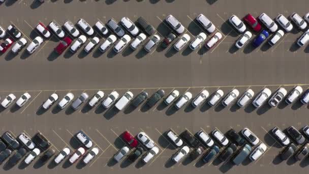 Bird Eye View Vehicle Port Lot Aguardando Envio Distribuição Global — Vídeo de Stock