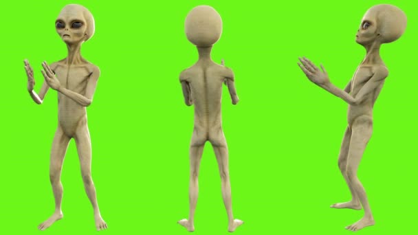 Avoir Images Green Screen Monster Stock Videos Royalty Free Green Screen le plus cool salutations