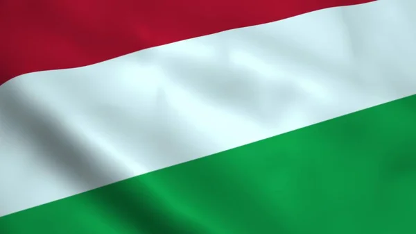 Realistic Hungary flag