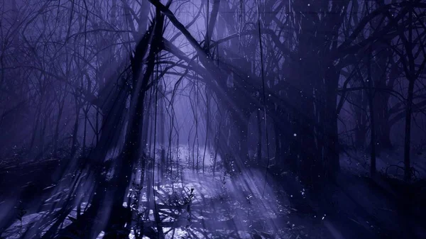 Dark mystical misty forest. A fairy-tale scary forest with tall trees in a thick fog. 3D Rendering.