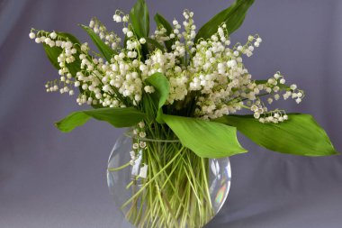 Bahar çiçekleri Rusya'da