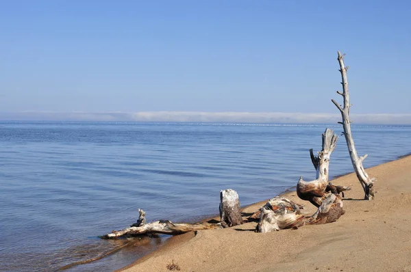 Lake Baikal Pearl Siberia — Stock Photo, Image