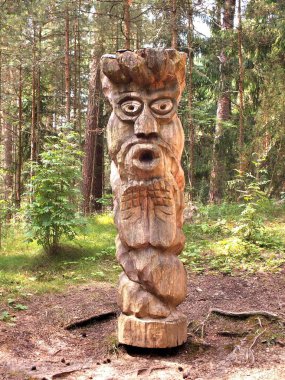 1 *** Neringa, Juodkrante, Litvanya, Curonian spit, Klaipeda bölge. Curonian lagoon ve Baltık Denizi kıyısında çare. Yaz 2013.