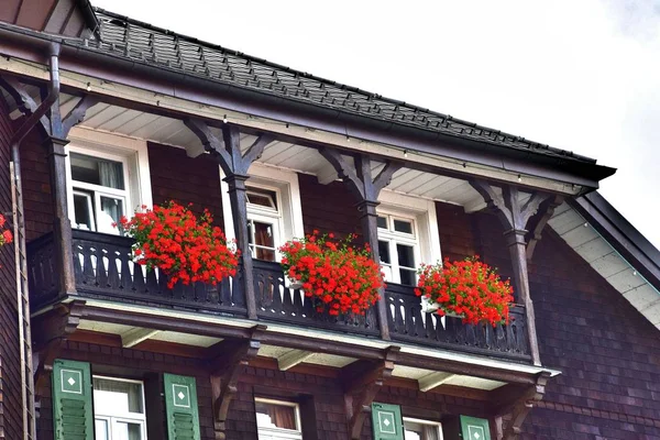 1 * * * titisee neustadt. Die Stadt besteht aus zwei Dörfern. die schöne Kurstadt am Fuße der Berge am Ufer des Titisees. Deutschland. der Sommer 2017. — Stockfoto