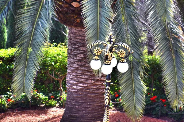 Haifa üçüncü büyük kenti ve İsrail ilk en büyük liman. Kentsel mimari. Bahar 2018 year.the Hayfa 1761 yılında kurulmuştur. İsrail. Kutsal topraklar. Akdeniz. Bahai bahçeleri.