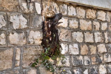 1 * Ein-Hod. İsrail köyde tek sanatçı. Güzel mimari. Bahar 2018.2 ** Ein-Hod. Yaratıcı aydınların liman. 1953 yılında kurulmuştur. Hayfa Bölgesi, mount Carmel, İsrail. Kutsal topraklar.  