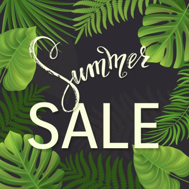 Yazı yaz. Tropikal palmiye arka plan bırakır. Vektör çizim Eps10.