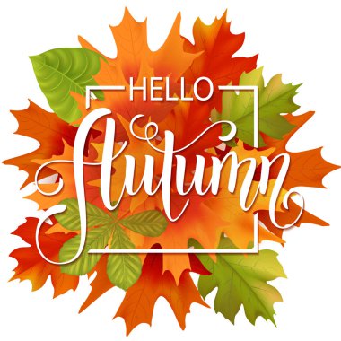 Sonbahar elle çizilmiş yazı. Arka plan yaprak. Vektör çizim Eps10.
