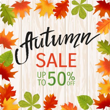 Sonbahar elle çizilmiş yazı. Arka plan yaprak. Vektör çizim Eps10.