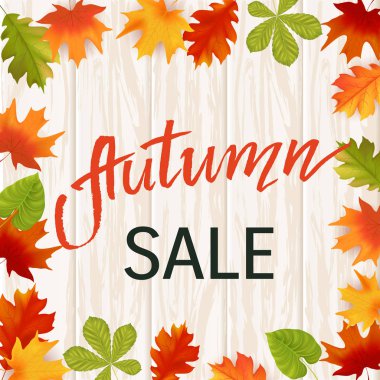 Sonbahar elle çizilmiş yazı. Arka plan yaprak. Vektör çizim Eps10.