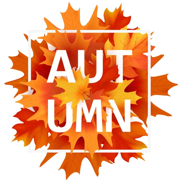 Sonbahar elle çizilmiş yazı. Arka plan yaprak. Vektör çizim Eps10.