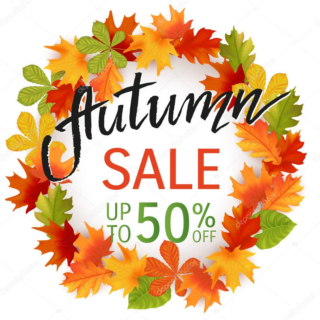 Autumn hand drawn lettering. Autumn leaves background. Vector illustration EPS10
