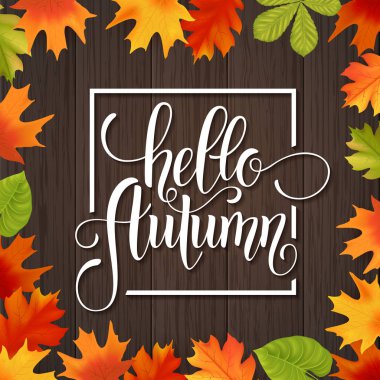 Sonbahar elle çizilmiş yazı. Arka plan yaprak. Vektör çizim Eps10.