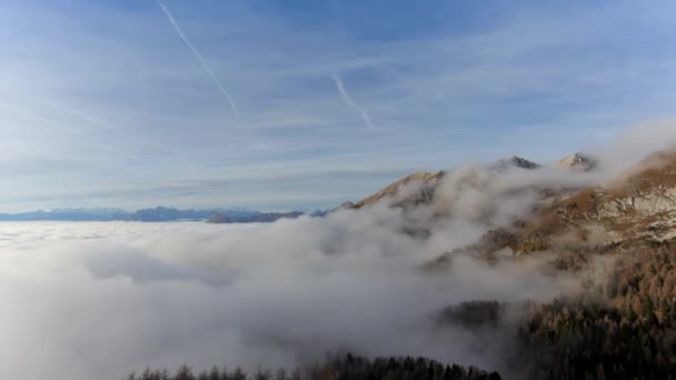 Nube otoñal bailando por el bosque de Cansiglio con fondo de Dolomitas — Vídeo de stock