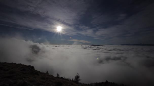 Nube otoñal bailando por el bosque de Cansiglio con fondo de Dolomitas — Vídeos de Stock