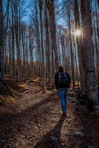 Lonely höstlig vandring i det Cansiglio skog, Veneto, Italien — Stockfoto