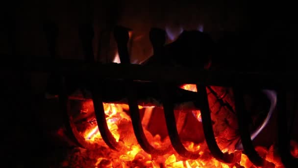 Şöminede yanan közlerin detayları ve dökme demir ızgarası. — Stok video
