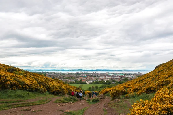 Holyrood Park, Edinburgh 'un sarı çiçekleriyle çevrili yoldaki turistler