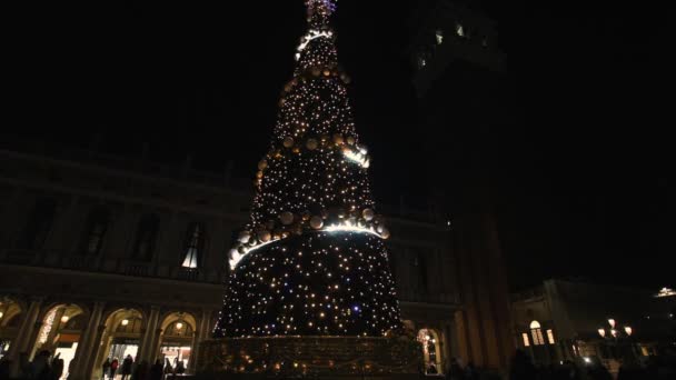 Hermoso árbol de Navidad en Piazza San Marco por la noche — Vídeo de stock