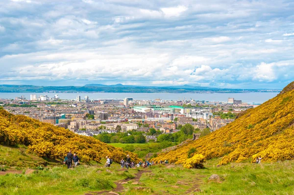 Unrecognizable people in Holyrood Park surrounded by yellow flowers, Edinburgh