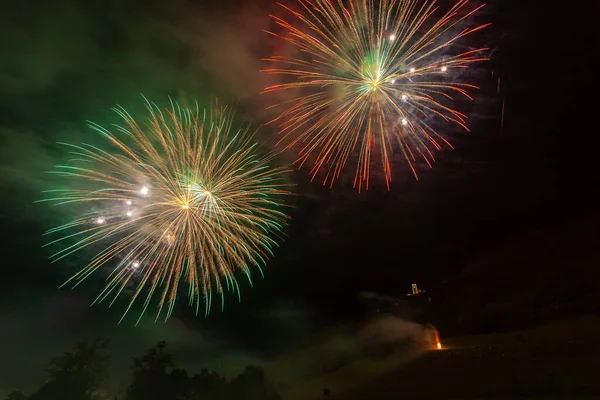 Wunderbare mehrfarbige Feuerwerk Explosionen beleuchten Himmel über Bäumen Silhouette — Stockfoto