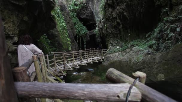Nő séta videó telefon egy fa hídon egy gyönyörű kanyonban — Stock videók