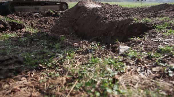 Egy közeli mechanikus ásó betölti a lyukat a réten kaviccsal — Stock videók