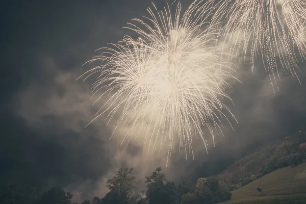 White fireworks against the backdrop of the night sky