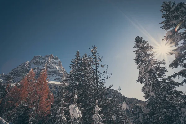 Norra sidan av Monte Pelmo efter en riklig snöfall vintage effetc — Stockfoto