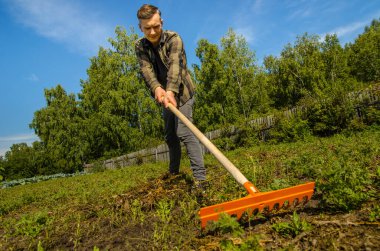 Bahçedeki genç bir adam, çitteki tırmıkla yontulmuş otları ve orman geçmişini kaldırıyor..
