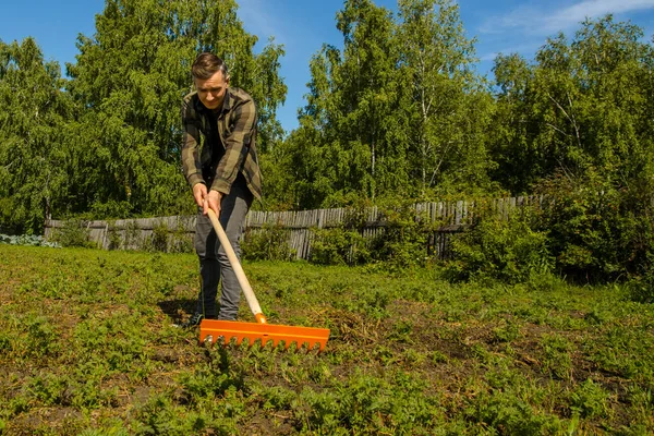 Un giovane uomo in giardino rimuove l'erba smussata con un rastrello su un recinto di legno e sullo sfondo della foresta . — Foto Stock