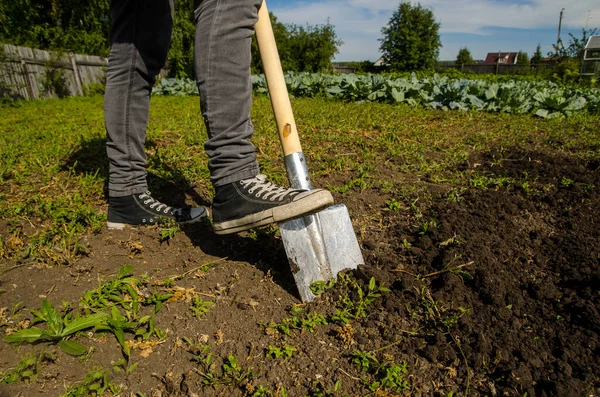 Junger Mann gräbt mit Schaufel den Boden im Garten um — Stockfoto