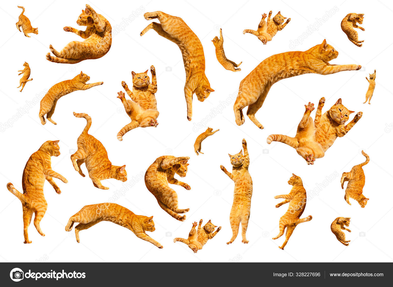 Muchos jengibre volando y saltando divertido gatos aislado en un blanco  fondo Ilustración de stock #328227696 de ©gum92, image size:1600x1167