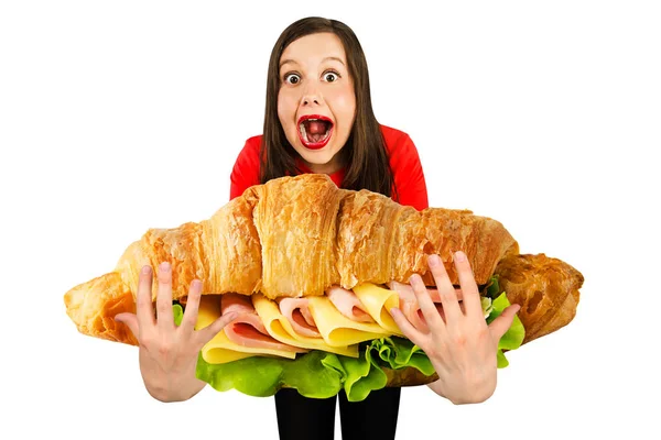 Young cute funny girl holds in front of herself huge croissant with ham and cheese, isolated on a white background — 스톡 사진