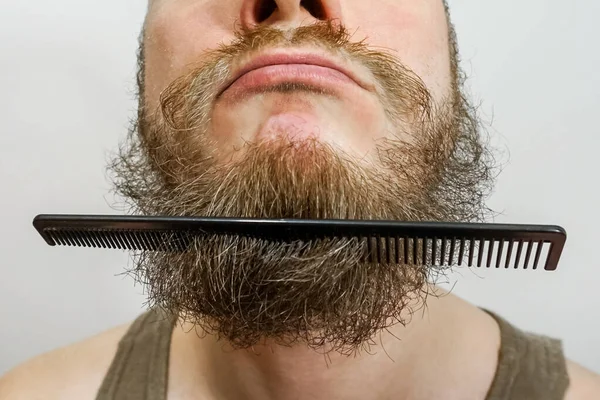 Closeup of a young man styling his beard with a comb while standing alone in a studio against a gray background — 스톡 사진