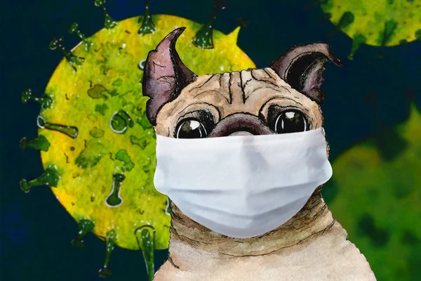Sketch painted in watercolor: pug dog wearing protective face mask corona virus, coronavirus.