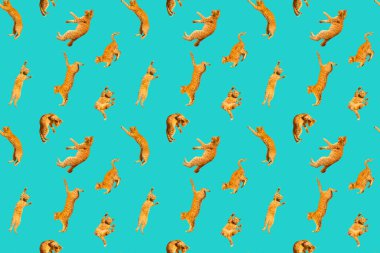 Bir çok kızılın uçan zıplama şekli, dans eden komik kediler, arka planda, kolajı ayarla.