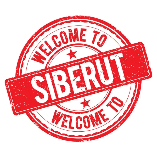 Siberut damga hoş geldiniz.