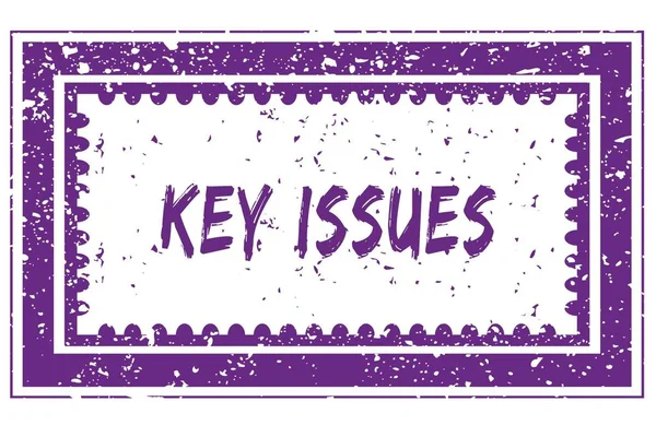 KEY ISSUES in magenta grunge square frame stamp — Stock Photo, Image
