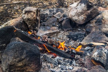 Finlandiya'nın vahşi doğada kamp ateşi