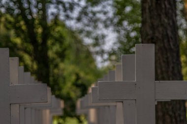 Doğu Finlandiya 'da bir mezarlık