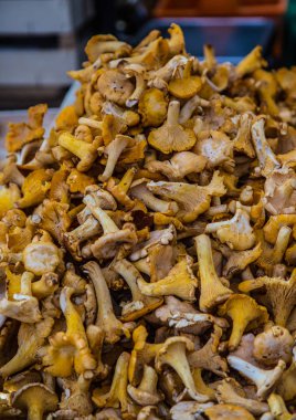 Chanterrelles bir pazarında