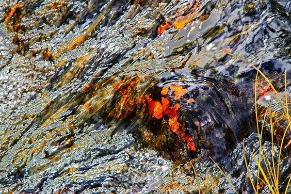 Gekleurde stenen in een rivier — Stockfoto