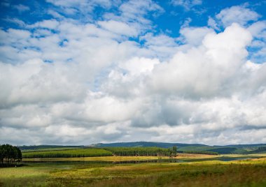 Güney Afrika'daki Mpumalanga ilinin manzara